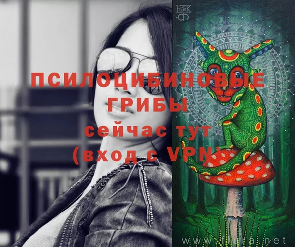 марки nbome Новодвинск
