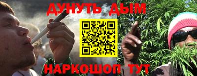 сатива Бийск