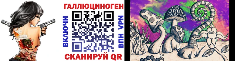 где можно купить   Россошь  Галлюциногенные грибы мухоморы 