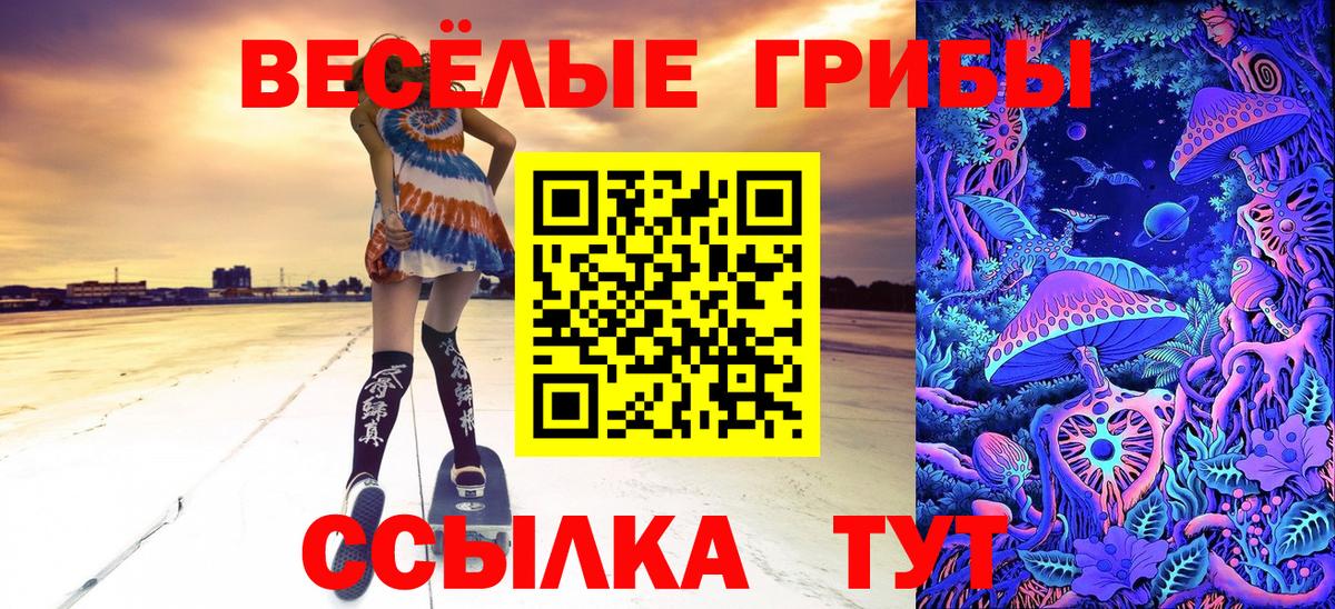 Россошь  продажа наркотиков  Вход с VPN  Галлюциногенные грибы GOLDEN TEACHER 
