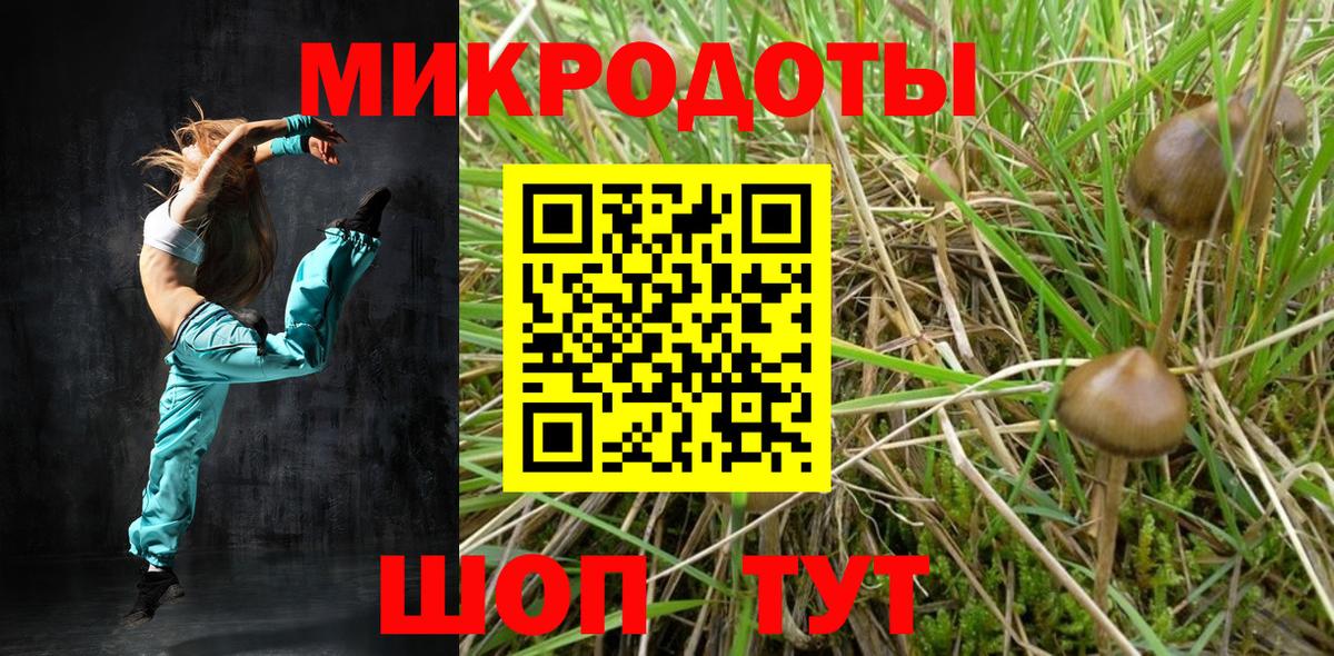 Галлюциногенные грибы Cubensis Россошь