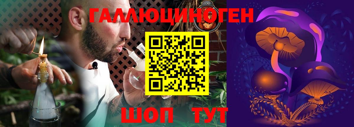 Псилоцибиновые грибы GOLDEN TEACHER Россошь